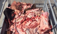 ضبط نحو 3 طن من اللحوم الغير صالحة للاستهلاك واعتقال مشتبه